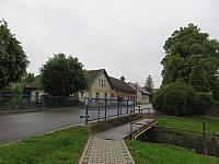 Třibřichy