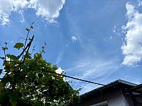 Hrnčiarovce nad Parnou