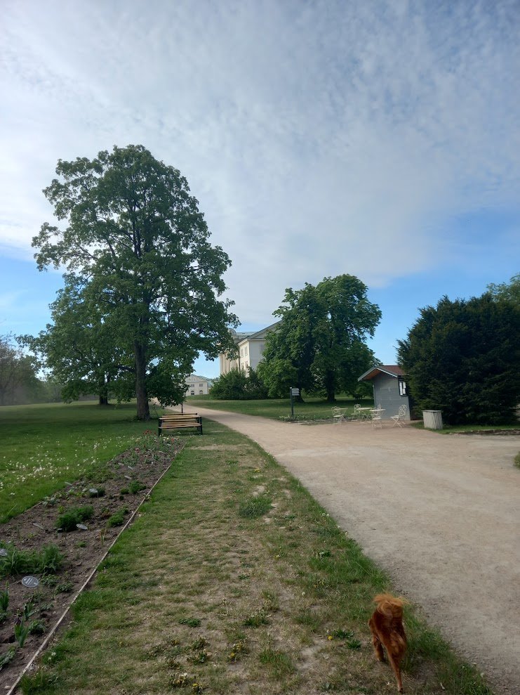 Svatý Mikuláš