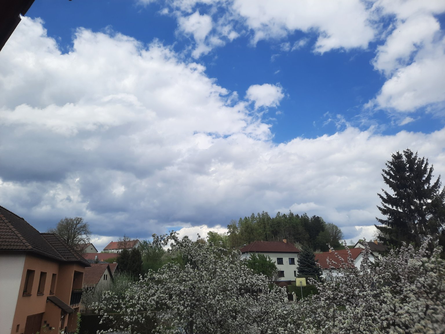 Olešná
