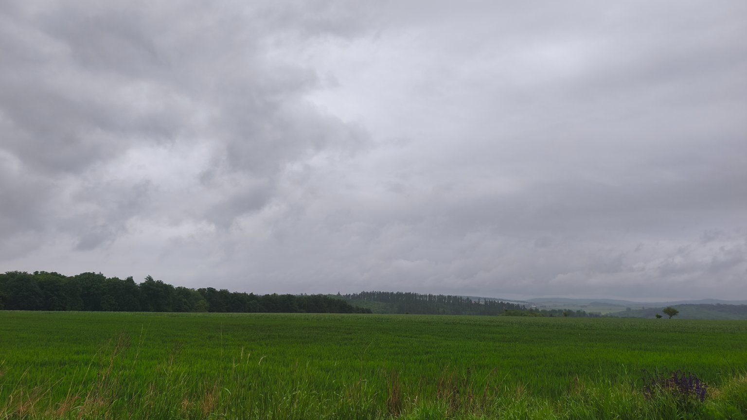 Lukovany