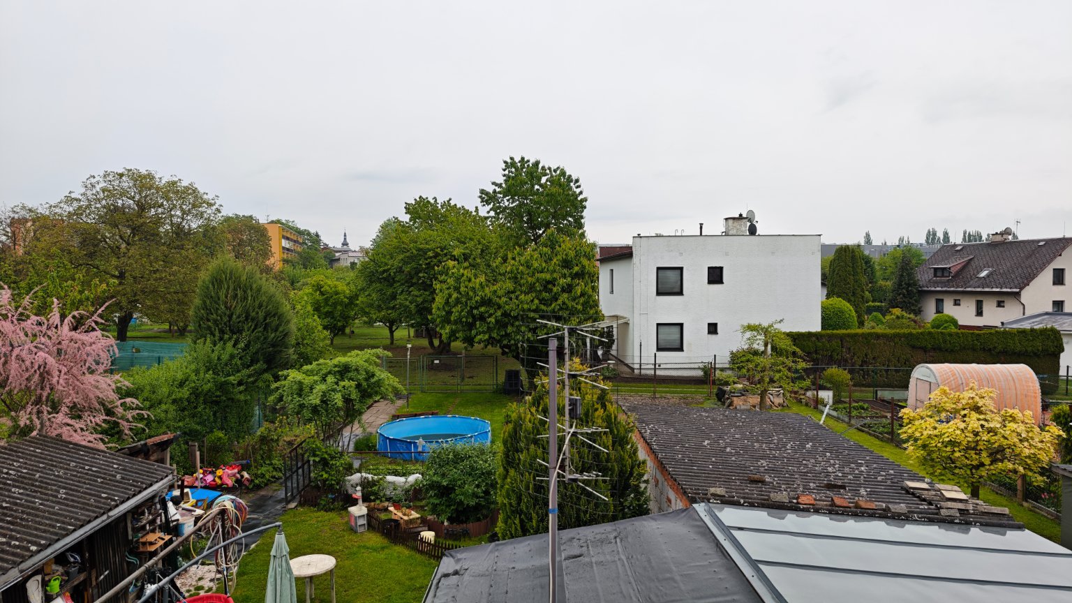 Hořice - Libonice