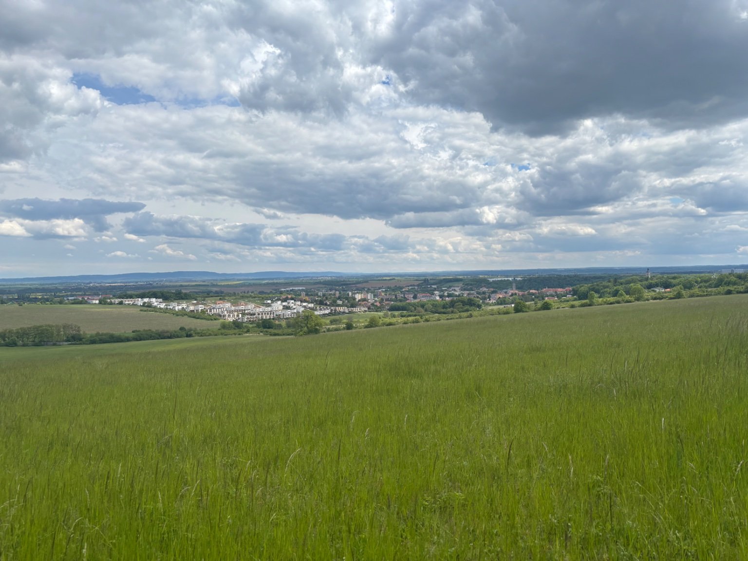 Kaňk