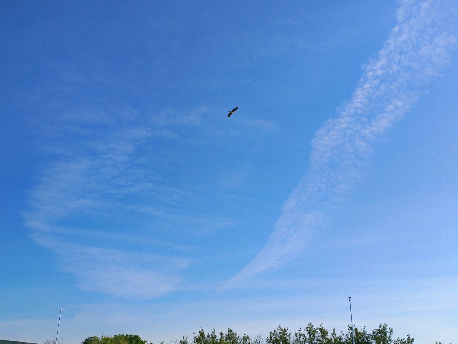 Chomutov
