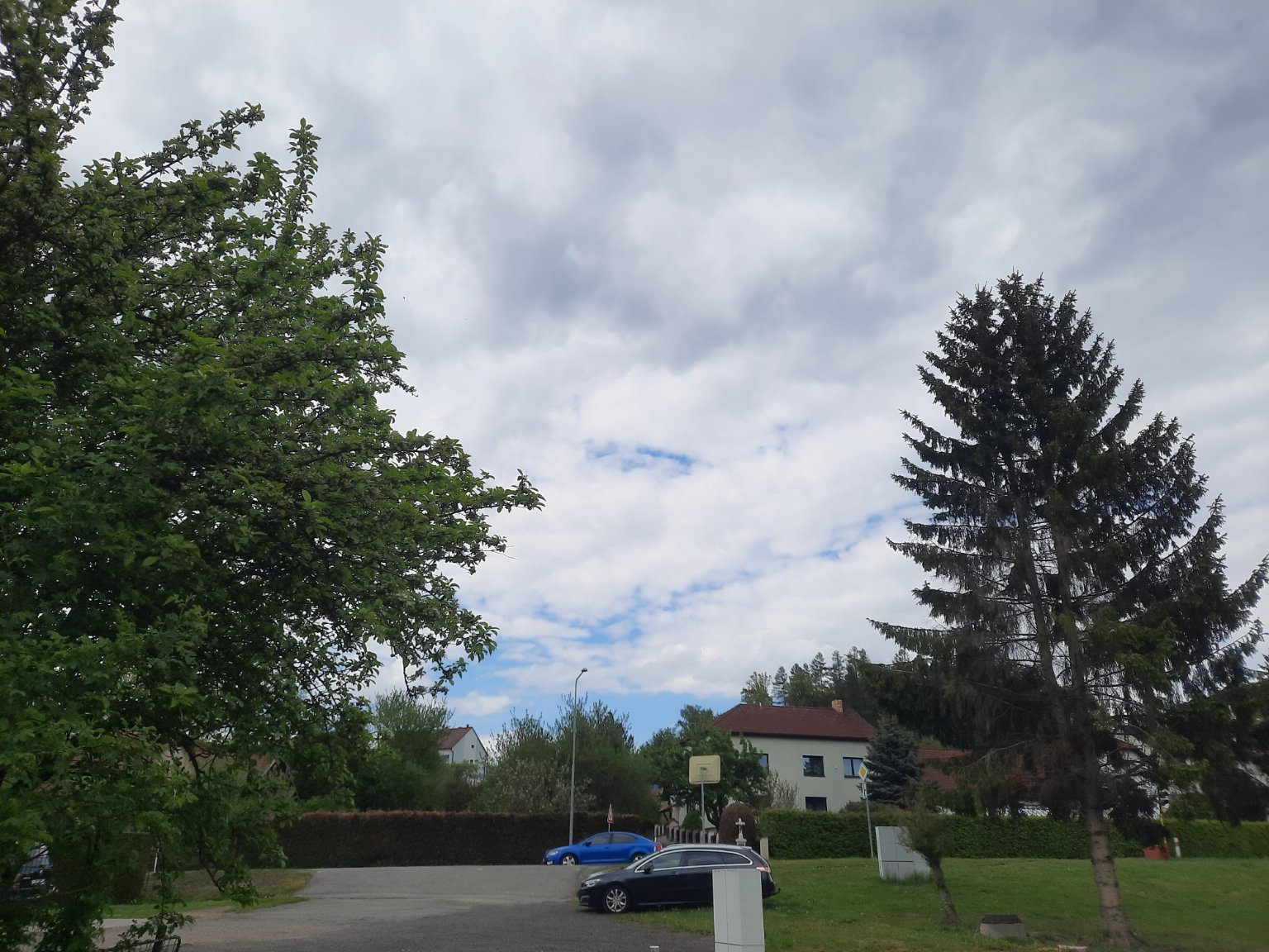 Olešná