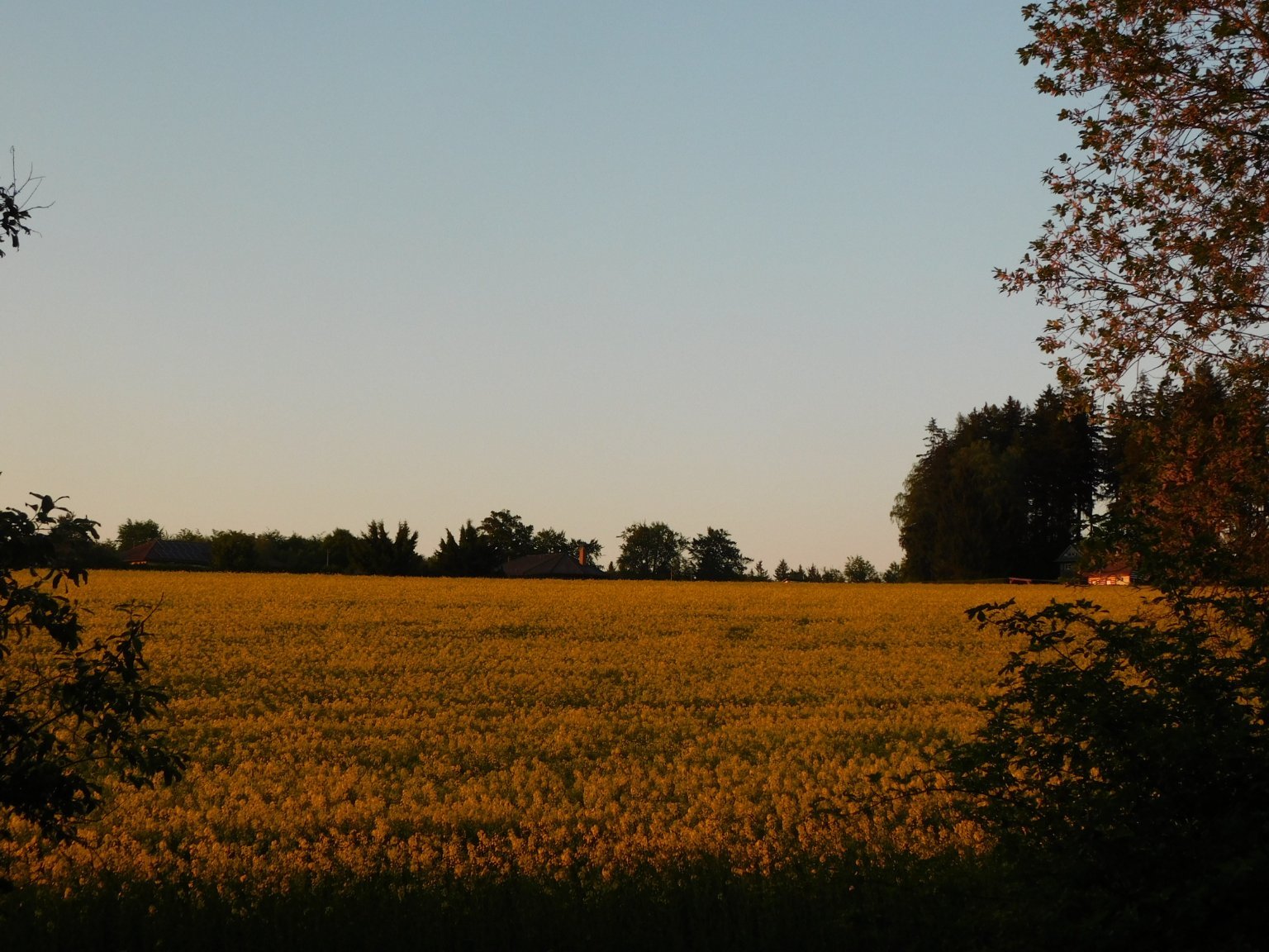 Němčice Zhoř