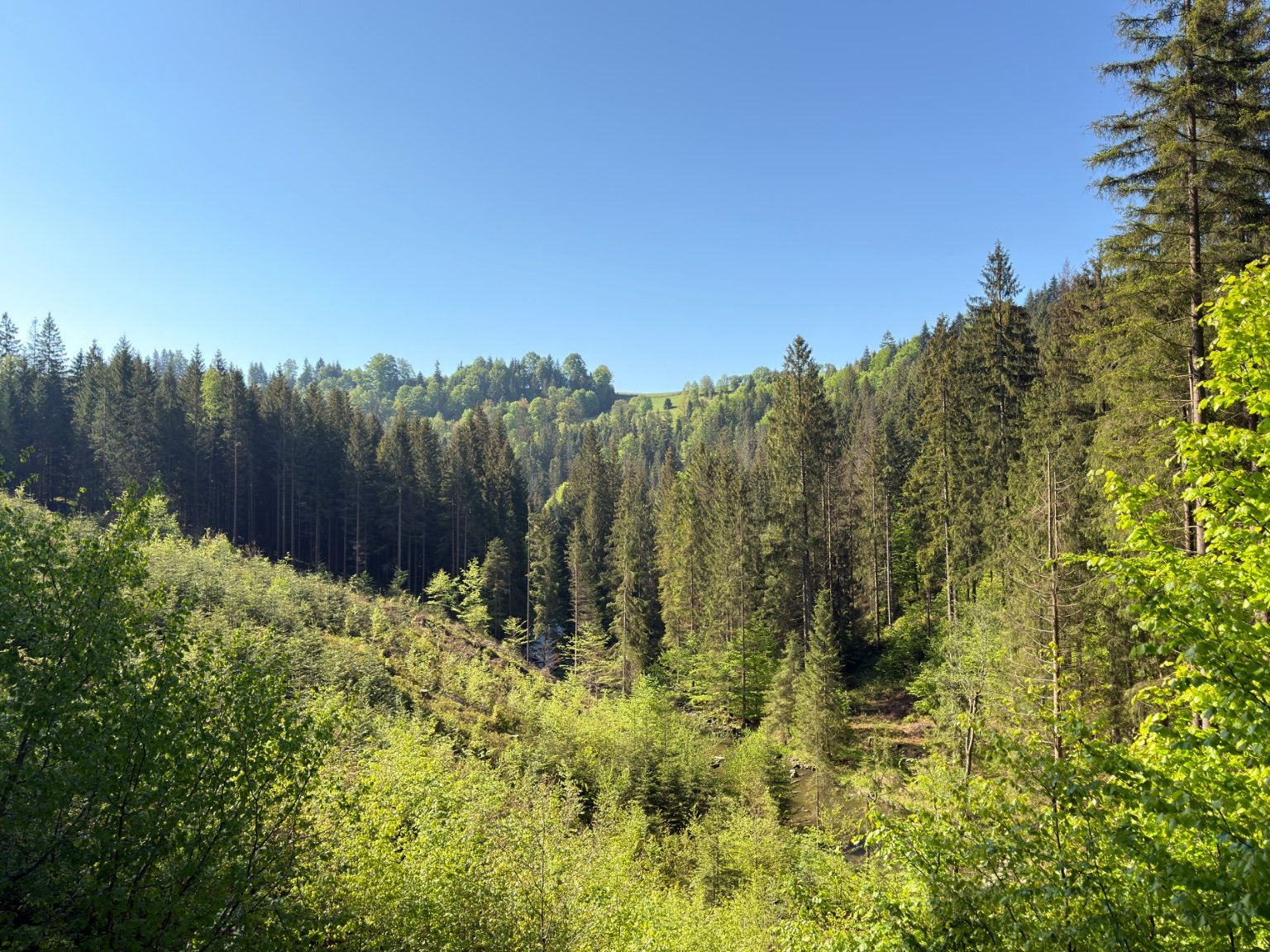 Istebna