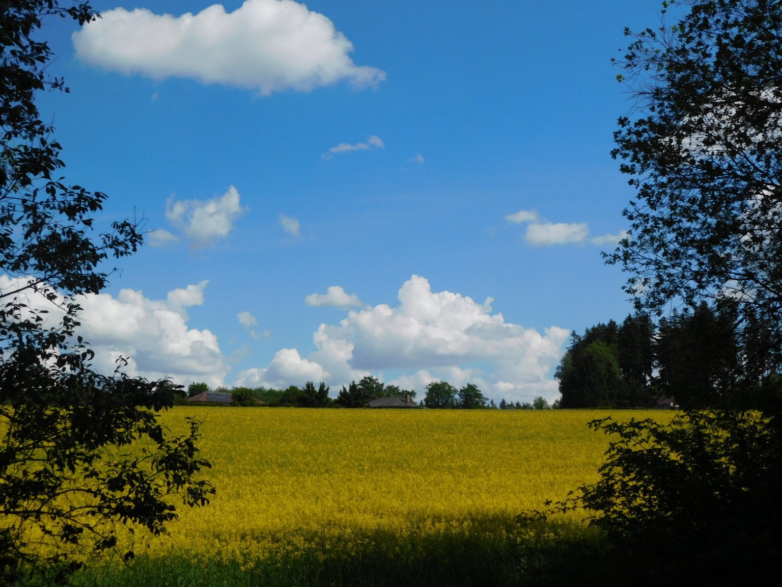 Němčice Zhoř
