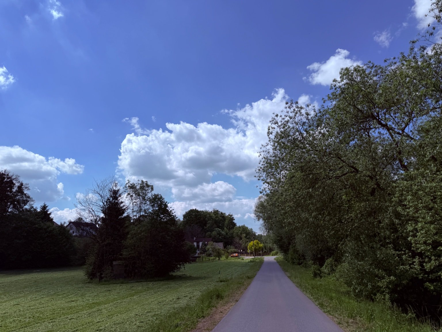 Ropice