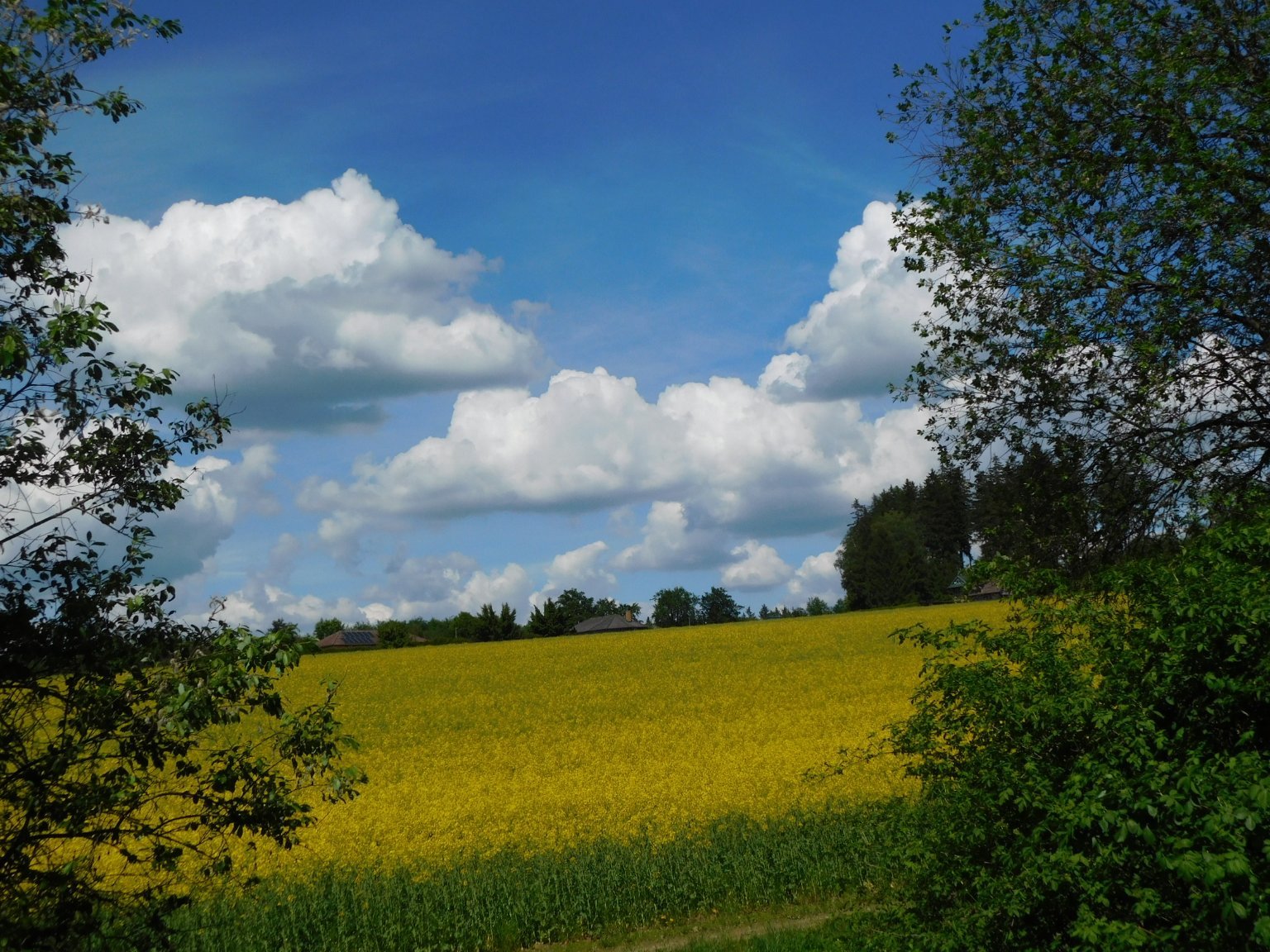 Němčice Zhoř