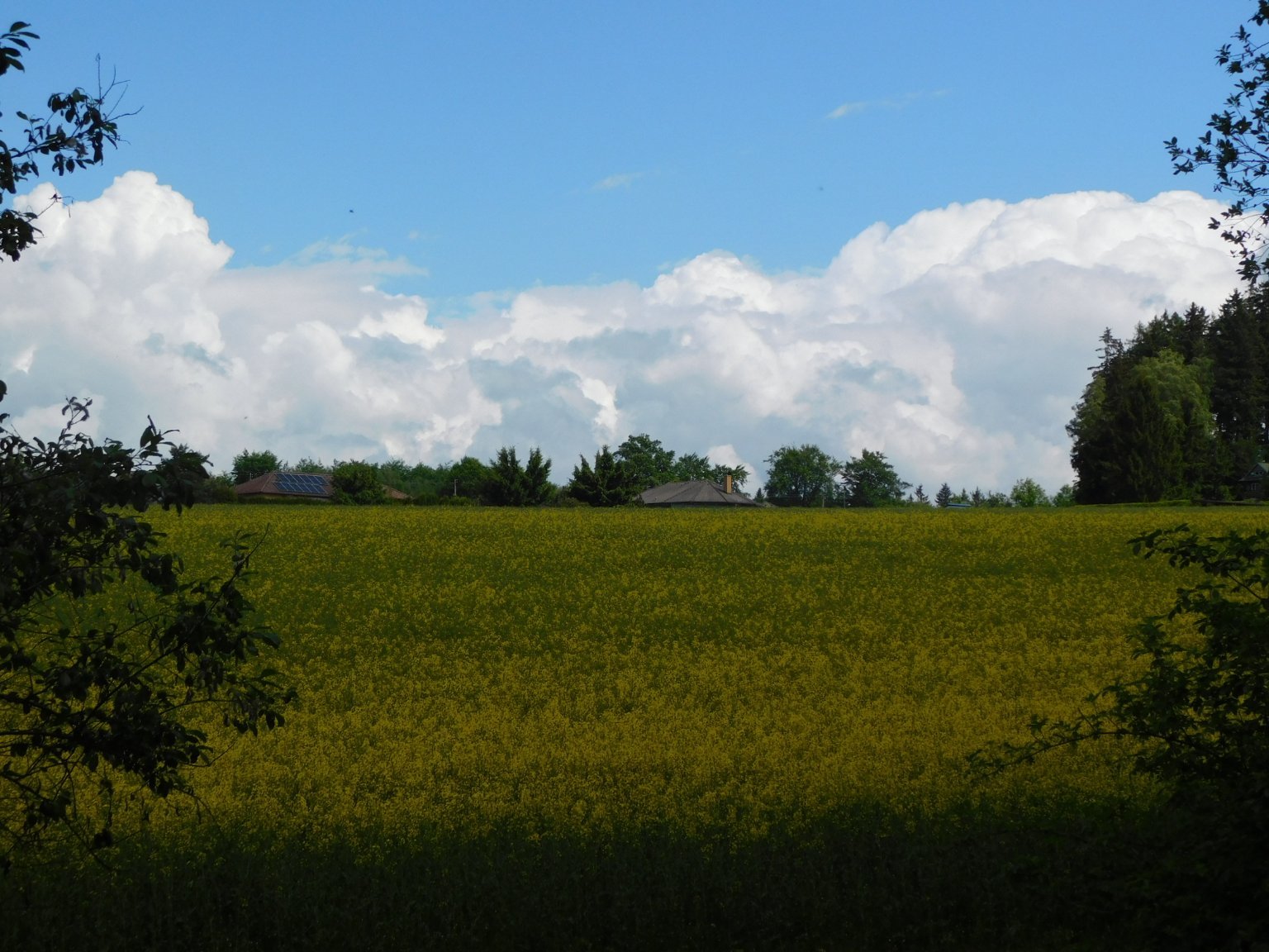 Němčice Zhoř