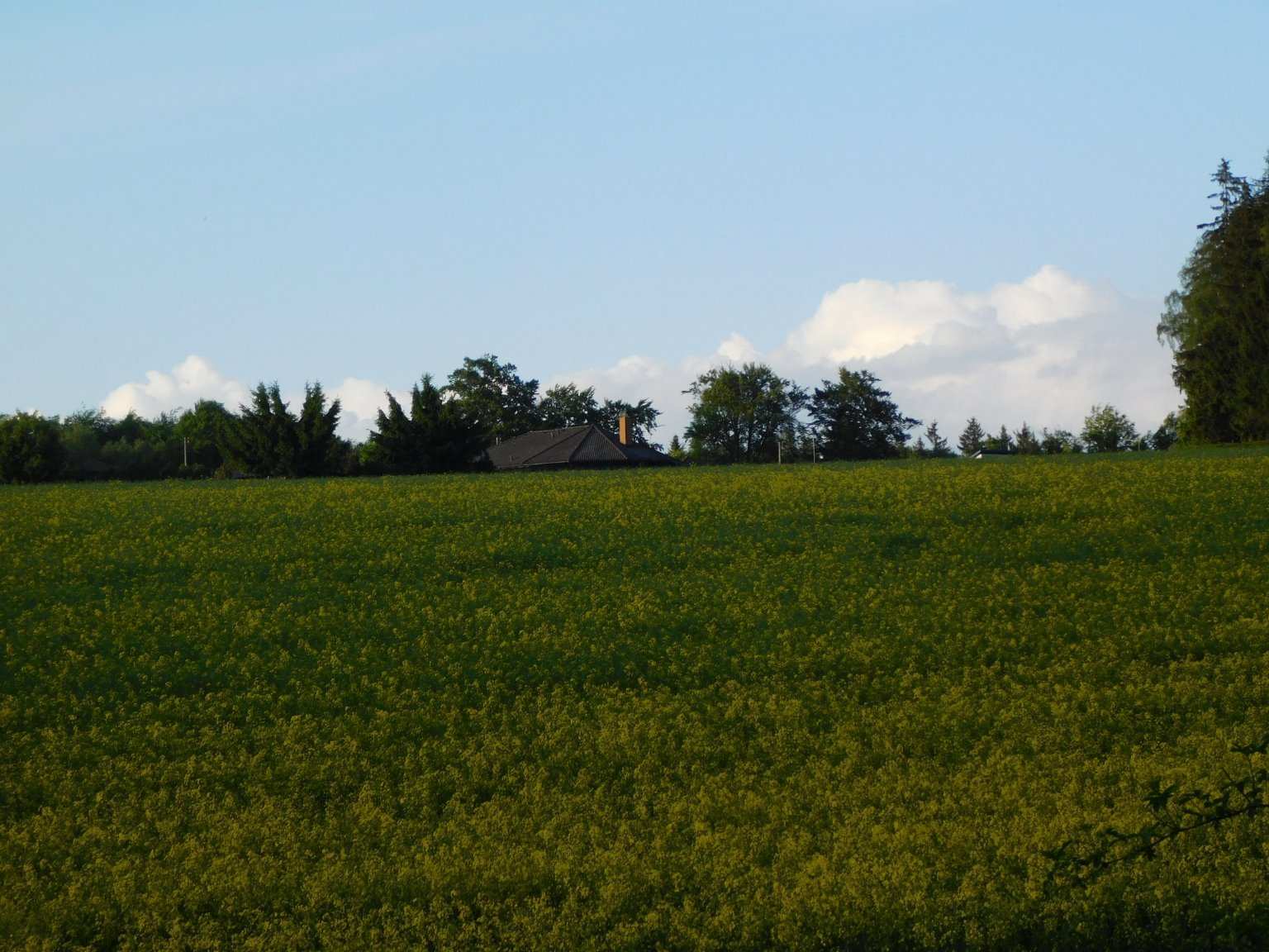 Němčice Zhoř