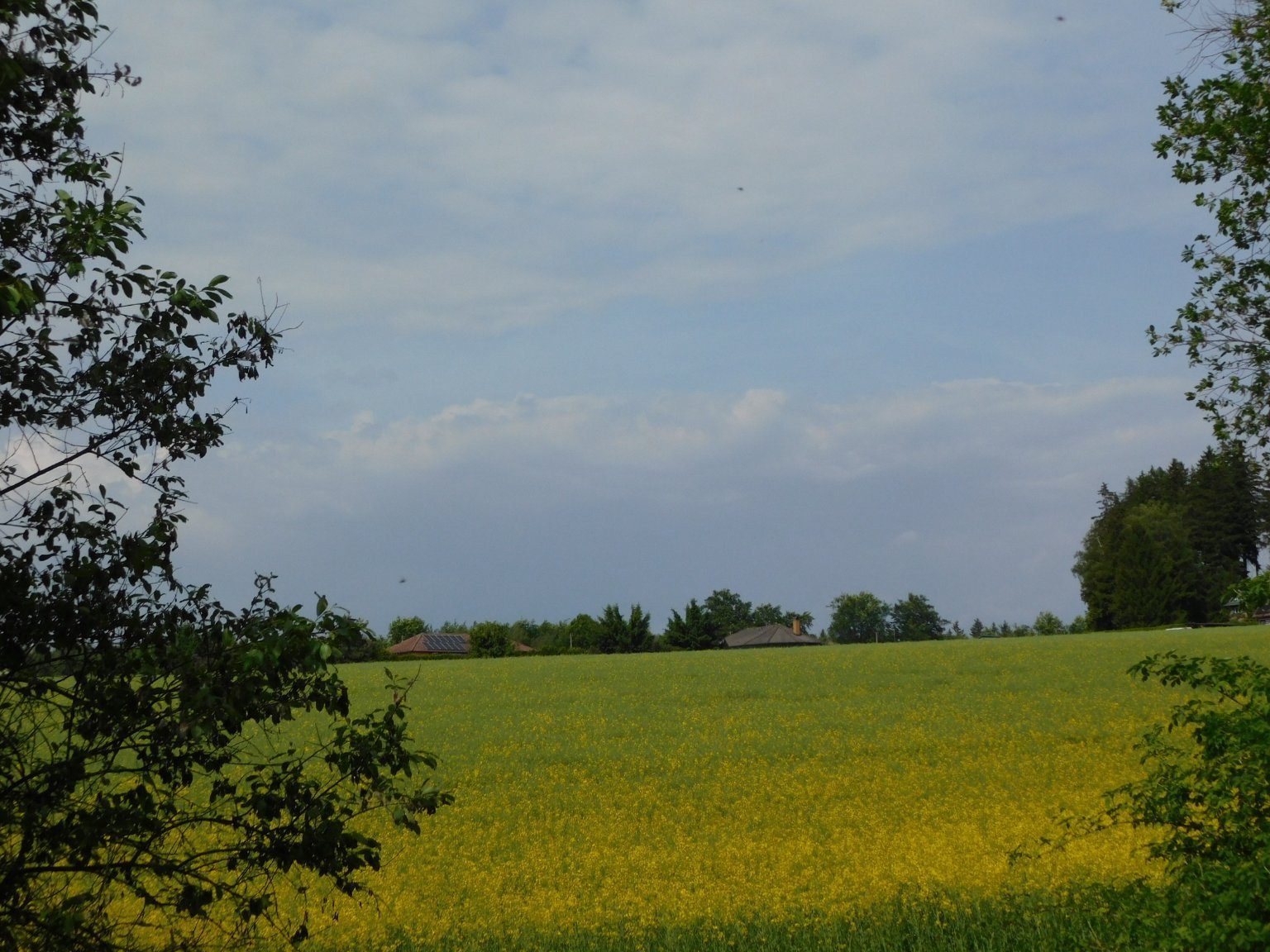 Němčice Zhoř