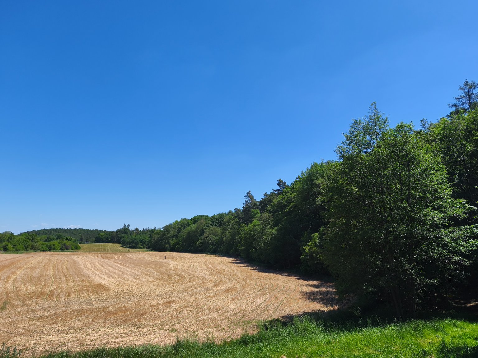 Lukovany