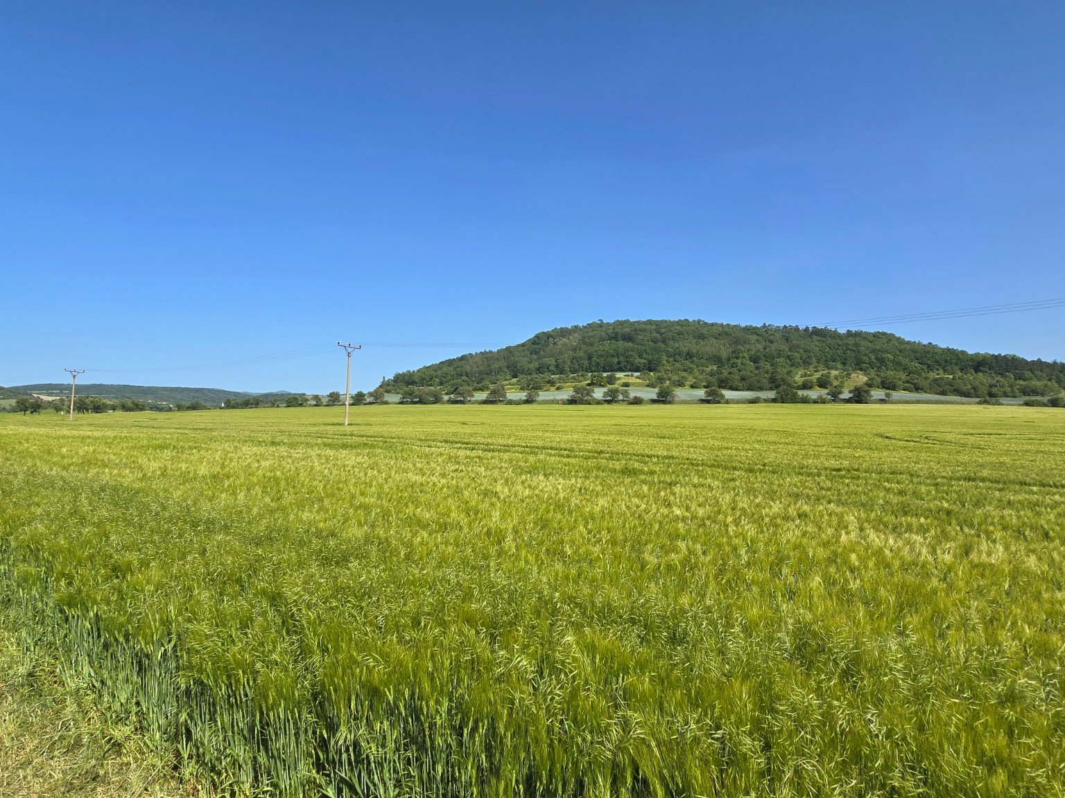 Lužice u Mostu 