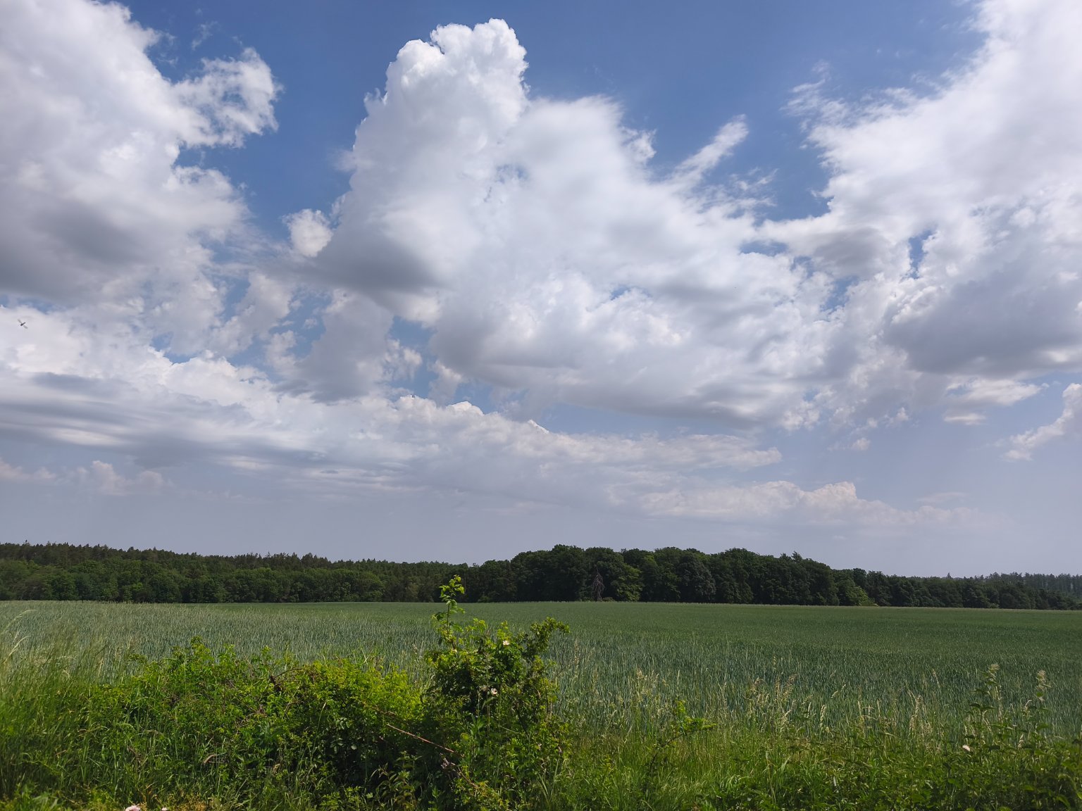 Lukovany