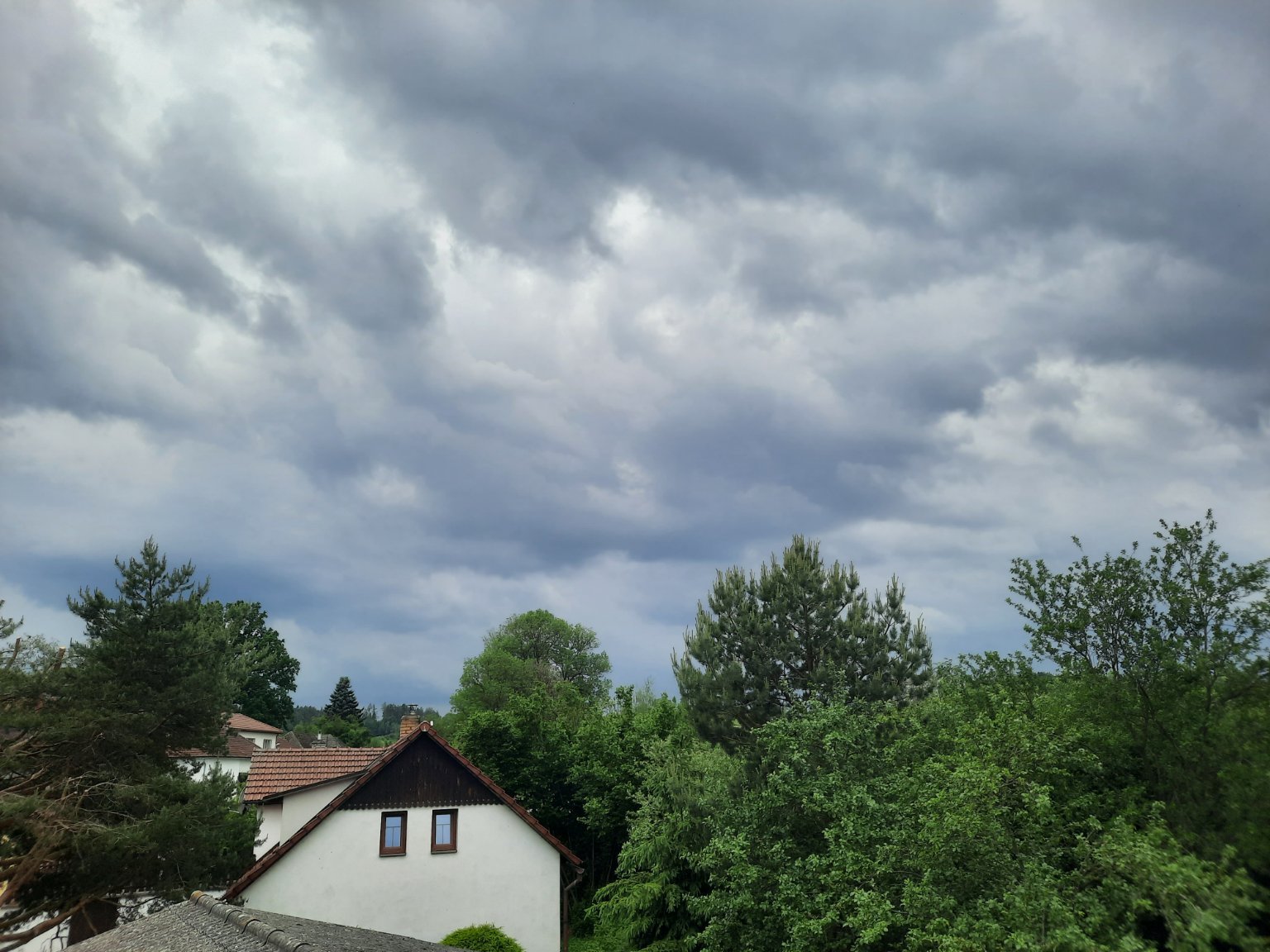 Olešná