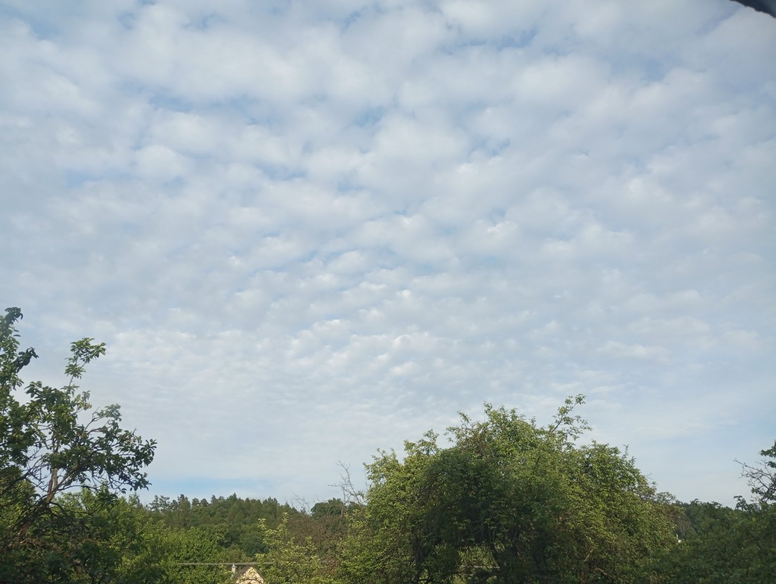 Kopřivnice, Vlčovice