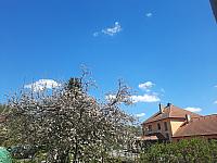 Olešná