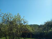 Kopřivnice, Vlčovice