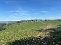 Dobrošov