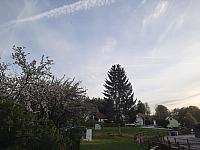 Olešná