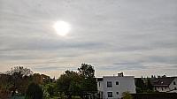 Hořice - Libonice