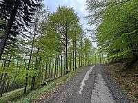 Řeka