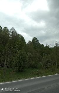 Klubina