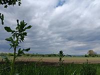image_1011847.jpg