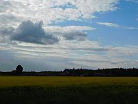 Fotografie
