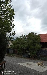 image_1011919.jpg