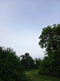 Fotografie