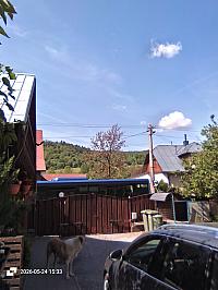 image_1013919.jpg