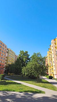 image_1014225.jpg
