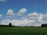 Fotografie