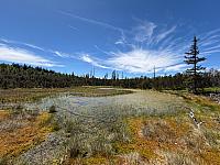 image_1014567.jpg