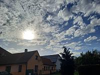 Olešná