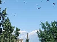 Olomouc-Lazce