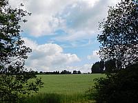 Fotografie