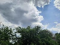 Olešná