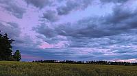 video_1010755.jpg