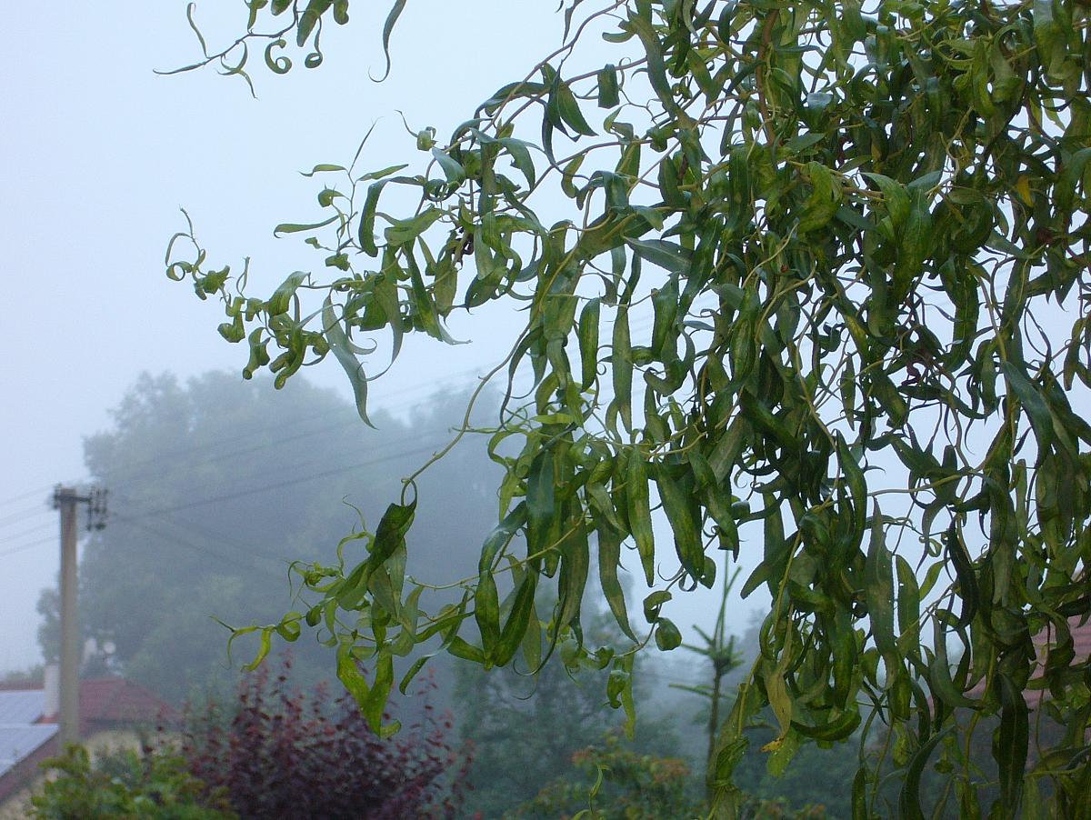 Krhová u Valašského Meziříčí