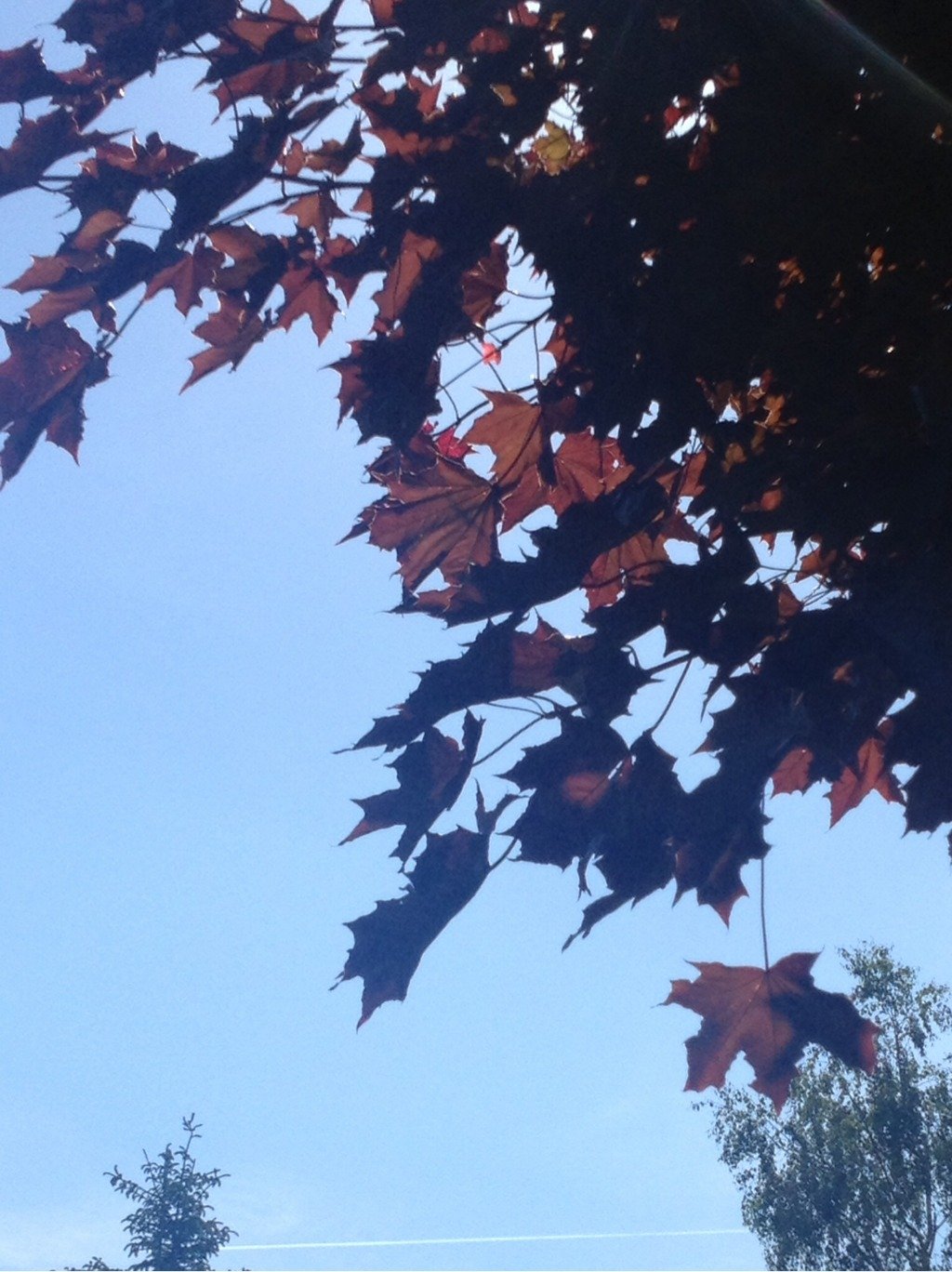 Horní Bečva - Opálený