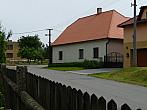 Třibřichy