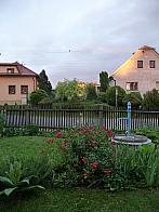 Třibřichy