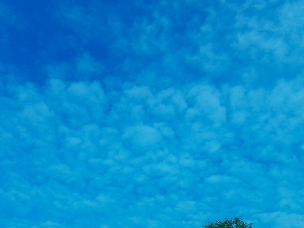 Hora Svatého Šebestiána