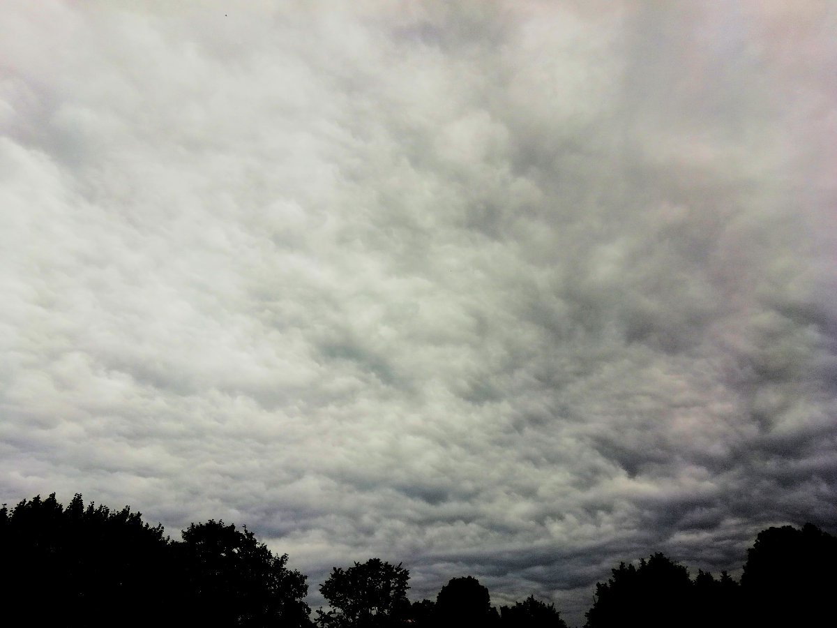 Jílové u Děčína