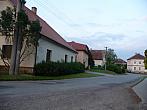 Třibřichy