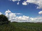 Hostákov